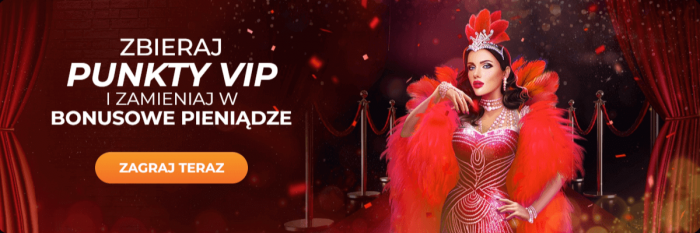 Program VIP