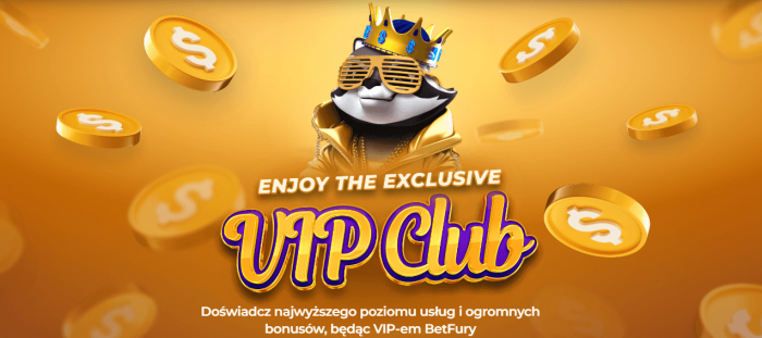 Program vip BetFury