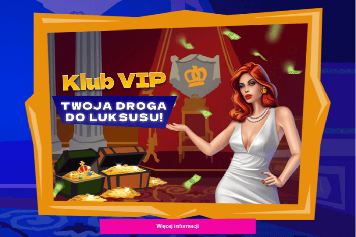 Program VIP