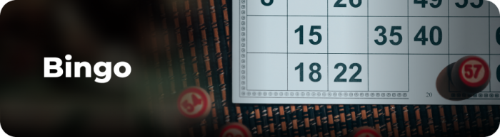 Bingo Renomowanekasyno