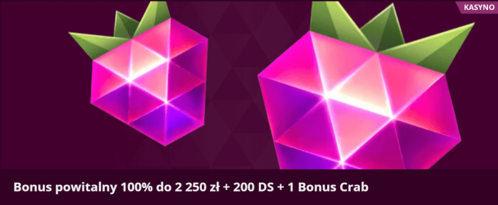 Malina Casino Bonus Powitalny